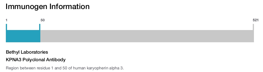 KPNA3 Polyclonal Antibody