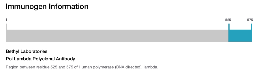 Pol Lambda Polyclonal Antibody