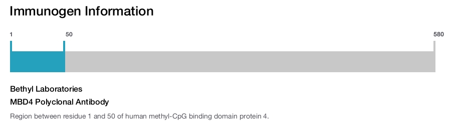 MBD4 Polyclonal Antibody