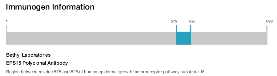 EPS15 Polyclonal Antibody