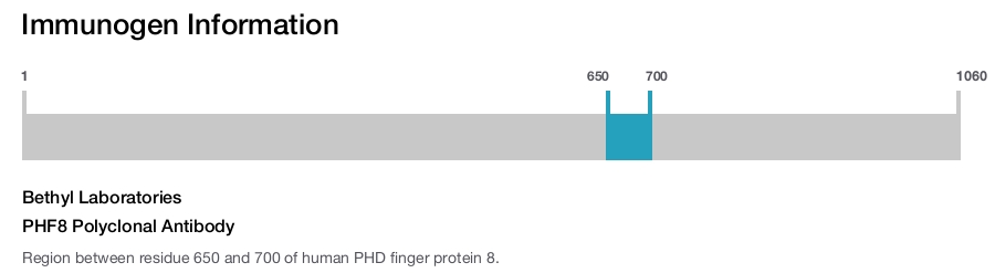 PHF8 Polyclonal Antibody