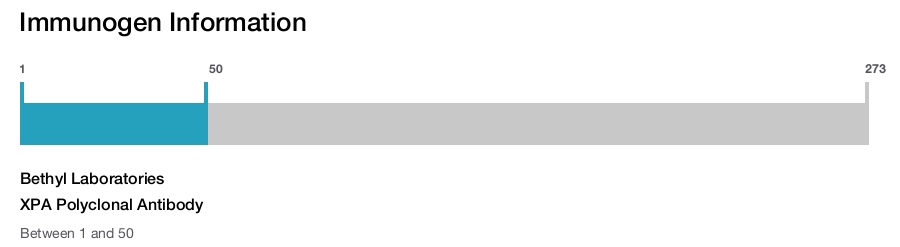 XPA Polyclonal Antibody