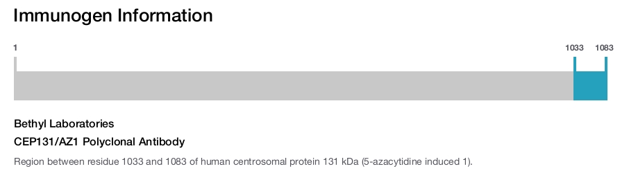 CEP131/AZ1 Polyclonal Antibody
