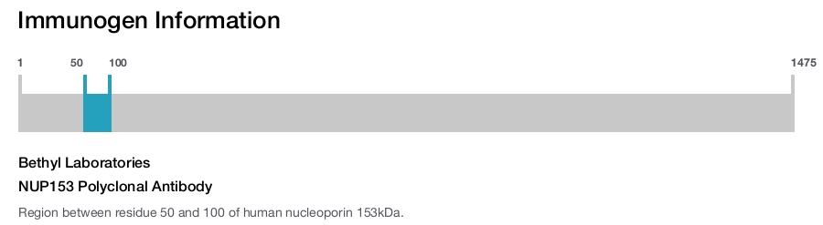 NUP153 Polyclonal Antibody