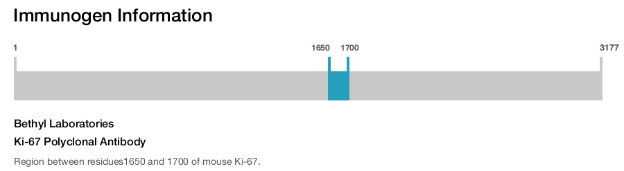 Ki-67 Polyclonal Antibody