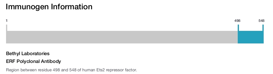 ERF Polyclonal Antibody