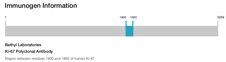 Ki-67 Polyclonal Antibody