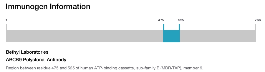 ABCB9 Polyclonal Antibody