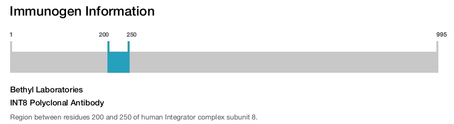 INT8 Polyclonal Antibody