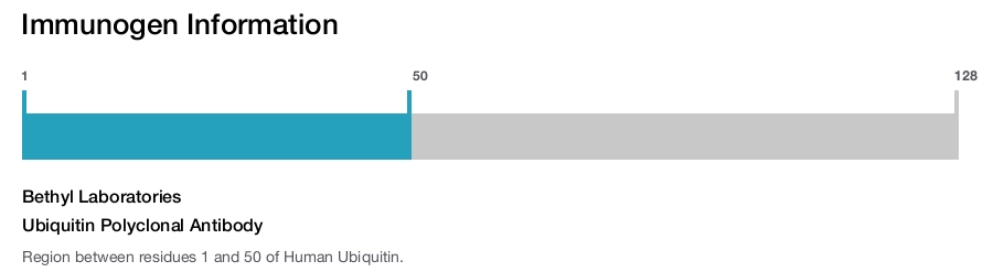 Ubiquitin Polyclonal Antibody