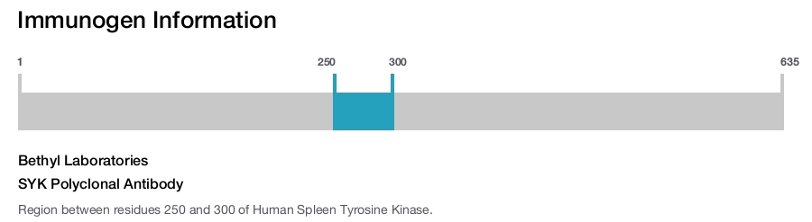 SYK Polyclonal Antibody