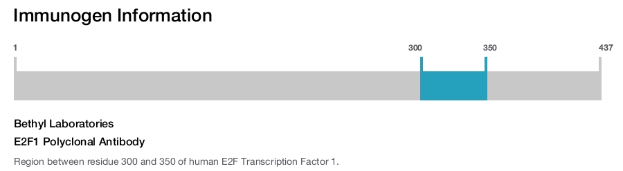 E2F1 Polyclonal Antibody