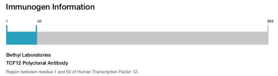 TCF12 Polyclonal Antibody