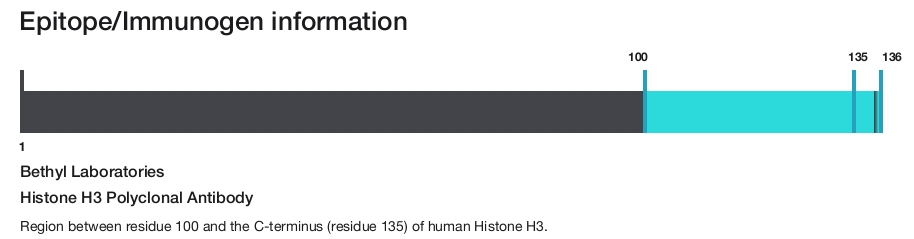 Histone H3 Polyclonal Antibody