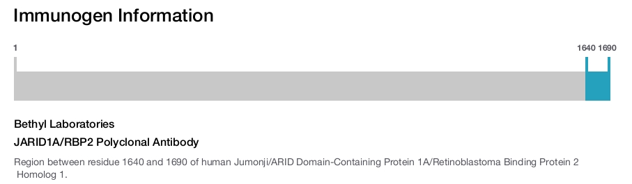 JARID1A/RBP2 Polyclonal Antibody