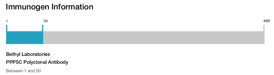 PPP5C Polyclonal Antibody