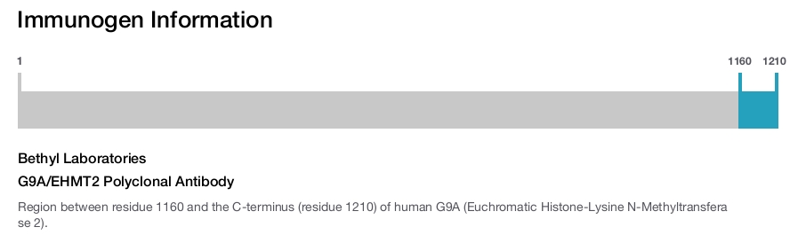 G9A/EHMT2 Polyclonal Antibody