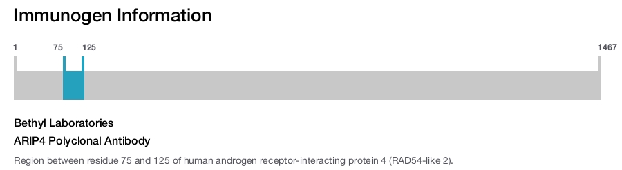 ARIP4 Polyclonal Antibody
