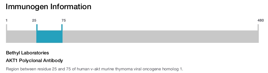 AKT1 Polyclonal Antibody