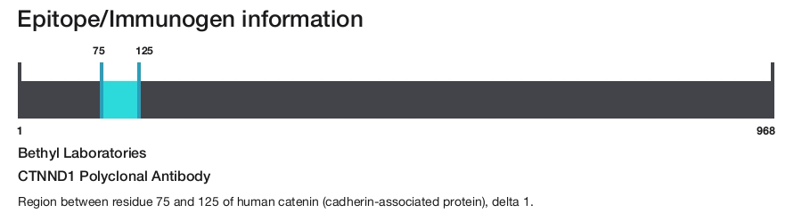 CTNND1 Polyclonal Antibody