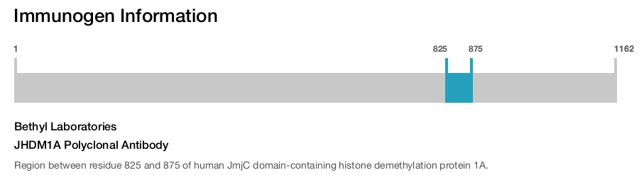 JHDM1A Polyclonal Antibody