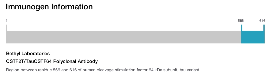 CSTF2T/TauCSTF64 Polyclonal Antibody
