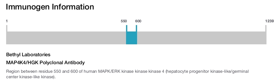 MAP4K4/HGK Polyclonal Antibody