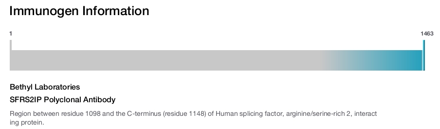 SFRS2IP Polyclonal Antibody