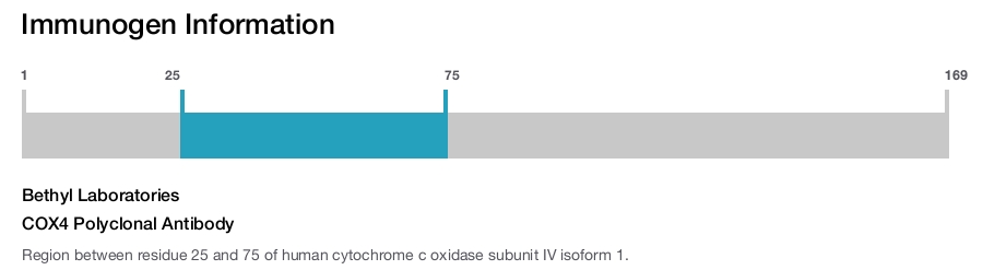 COX4 Polyclonal Antibody
