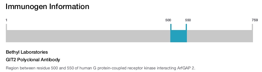 GIT2 Polyclonal Antibody