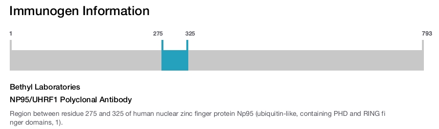 NP95/UHRF1 Polyclonal Antibody