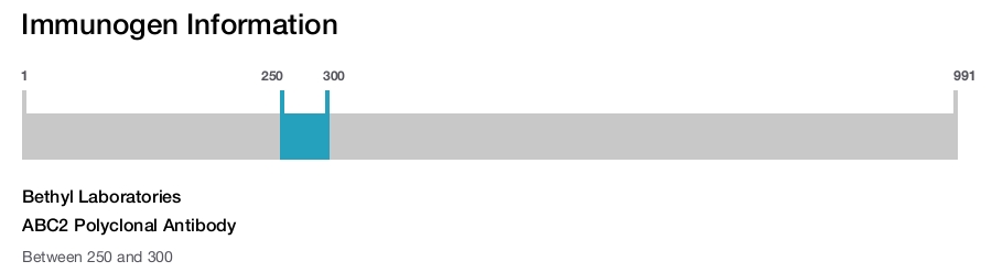 ABC2 Polyclonal Antibody