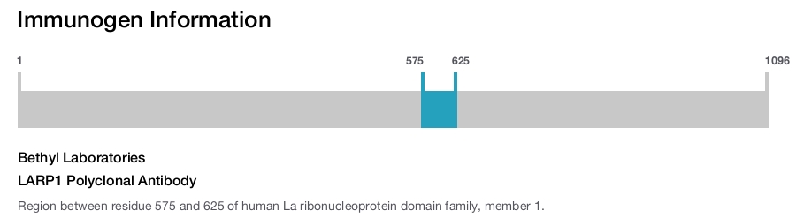 LARP1 Polyclonal Antibody