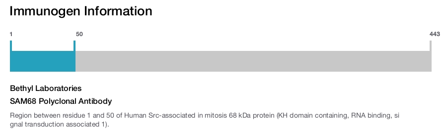 SAM68 Polyclonal Antibody