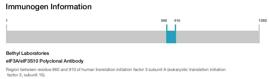 eIF3A/eIF3S10 Polyclonal Antibody