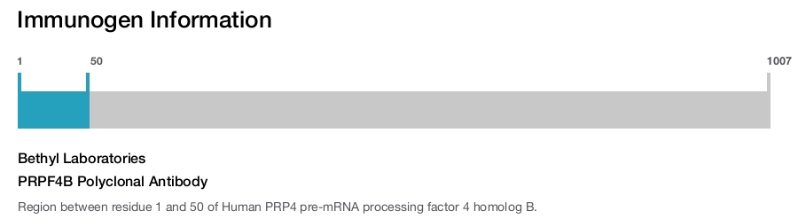PRPF4B Polyclonal Antibody