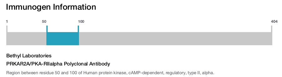 PRKAR2A/PKA-RIIalpha Polyclonal Antibody