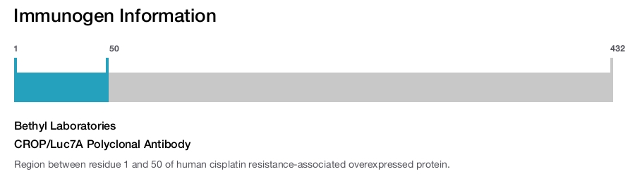 CROP/Luc7A Polyclonal Antibody