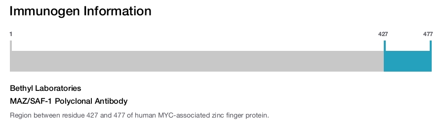 MAZ/SAF-1 Polyclonal Antibody