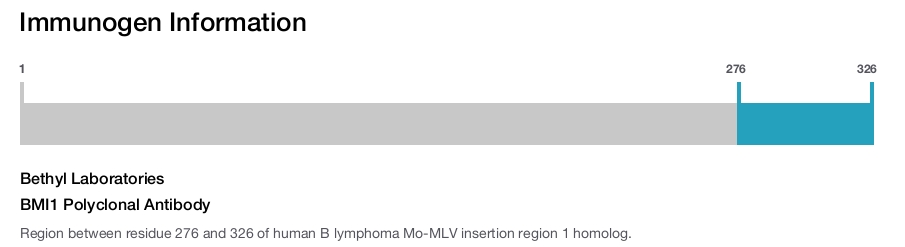 BMI1 Polyclonal Antibody