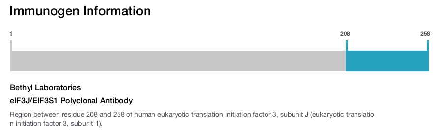 eIF3J/EIF3S1 Polyclonal Antibody