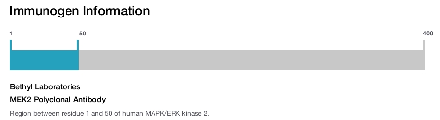 MEK2 Polyclonal Antibody