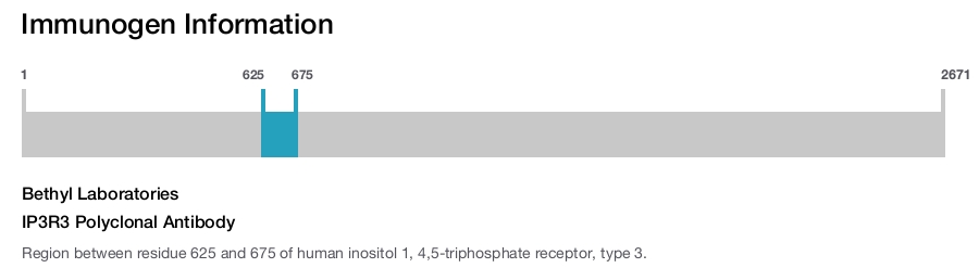 IP3R3 Polyclonal Antibody