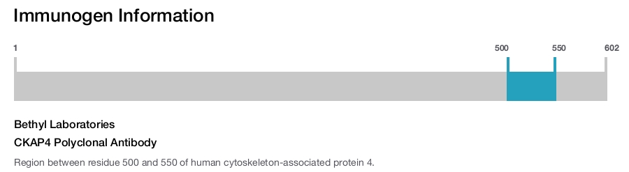CKAP4 Polyclonal Antibody