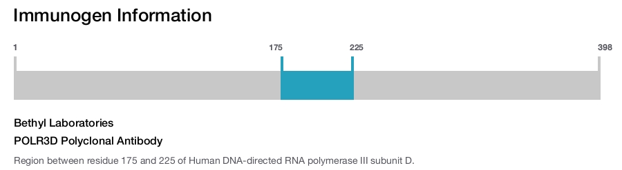 POLR3D Polyclonal Antibody