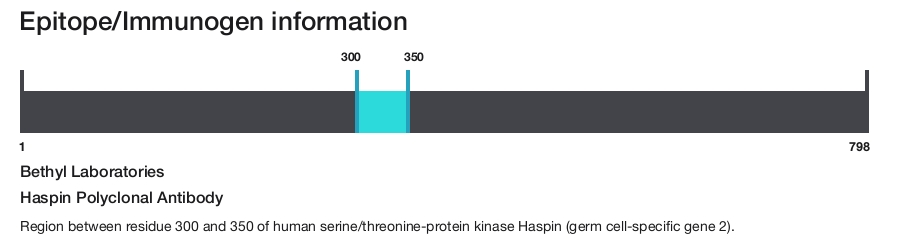 Haspin Polyclonal Antibody