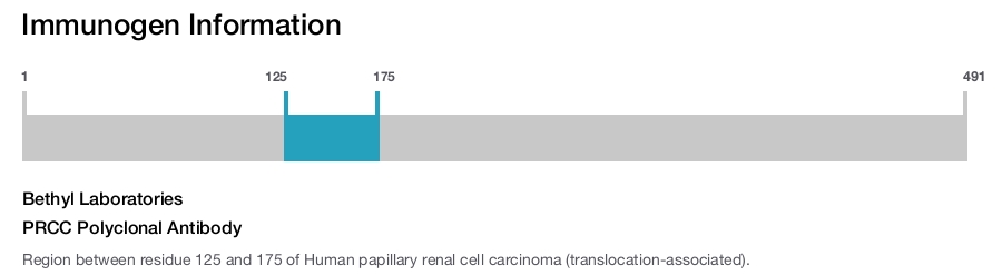 PRCC Polyclonal Antibody