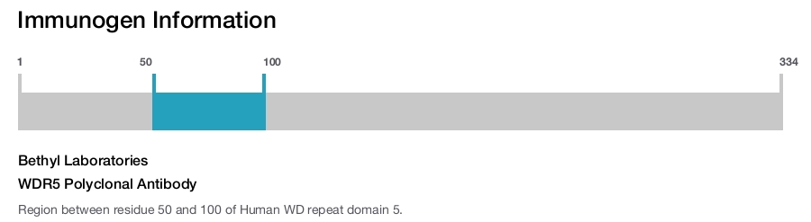 WDR5 Polyclonal Antibody
