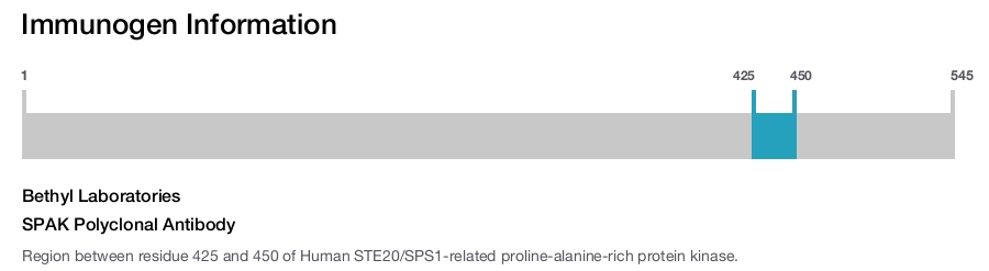 SPAK Polyclonal Antibody