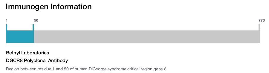 DGCR8 Polyclonal Antibody